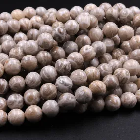 A  Natural Michigan Petoskey Stone Fossil Coral Round 6mm  8mm 10mm 12mm Round Beads Earthy Gray Brown Tan Beige Beads 16" Strand