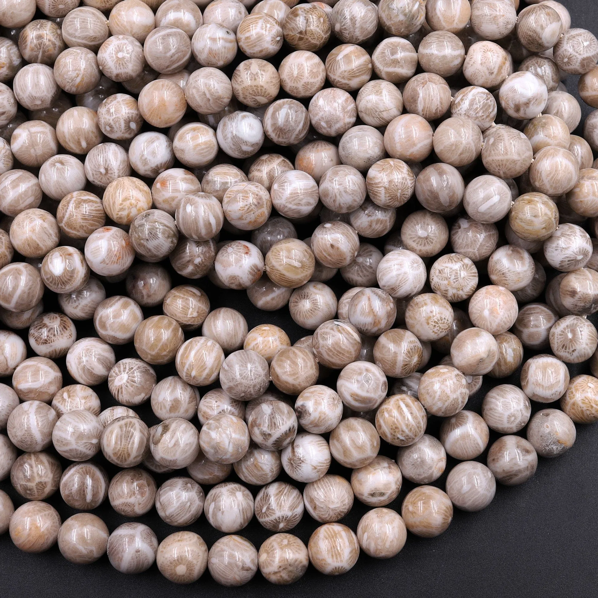 A  Natural Michigan Petoskey Stone Fossil Coral Round 6mm  8mm 10mm 12mm Round Beads Earthy Gray Brown Tan Beige Beads 16" Strand