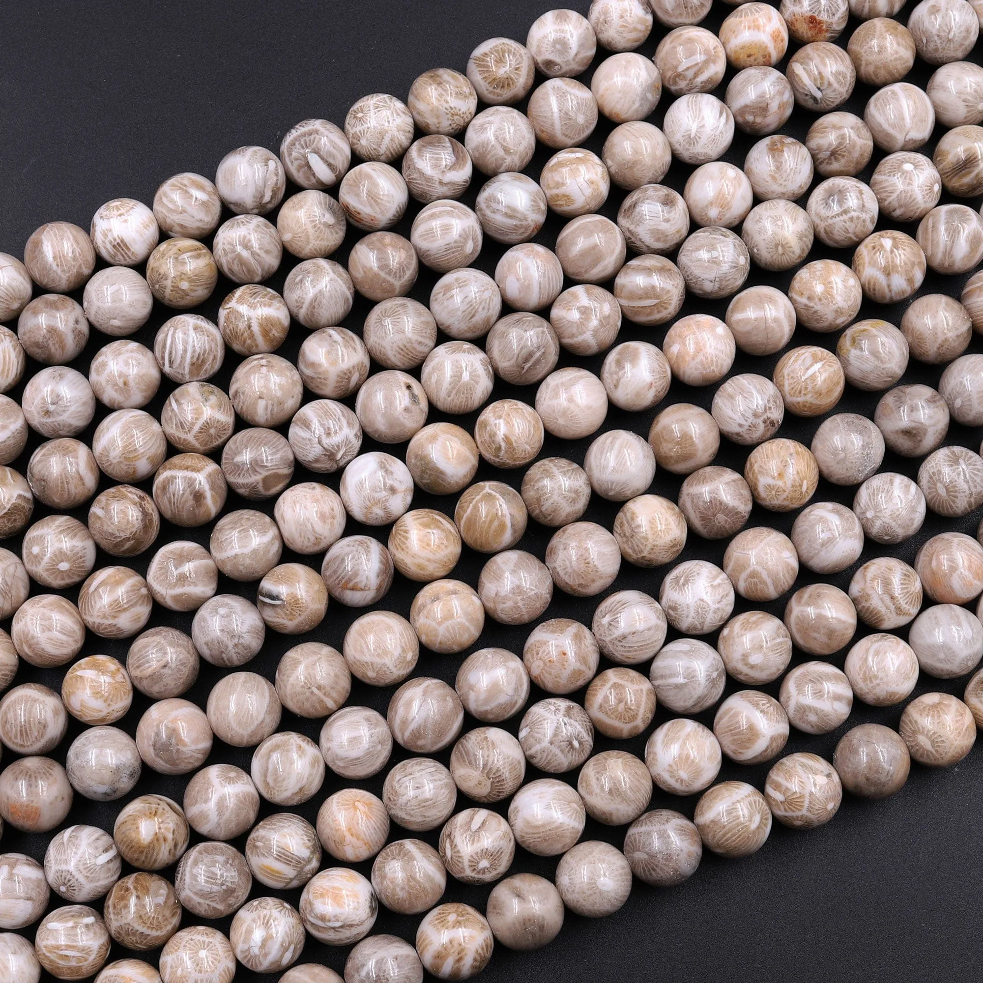 A  Natural Michigan Petoskey Stone Fossil Coral Round 6mm  8mm 10mm 12mm Round Beads Earthy Gray Brown Tan Beige Beads 16" Strand