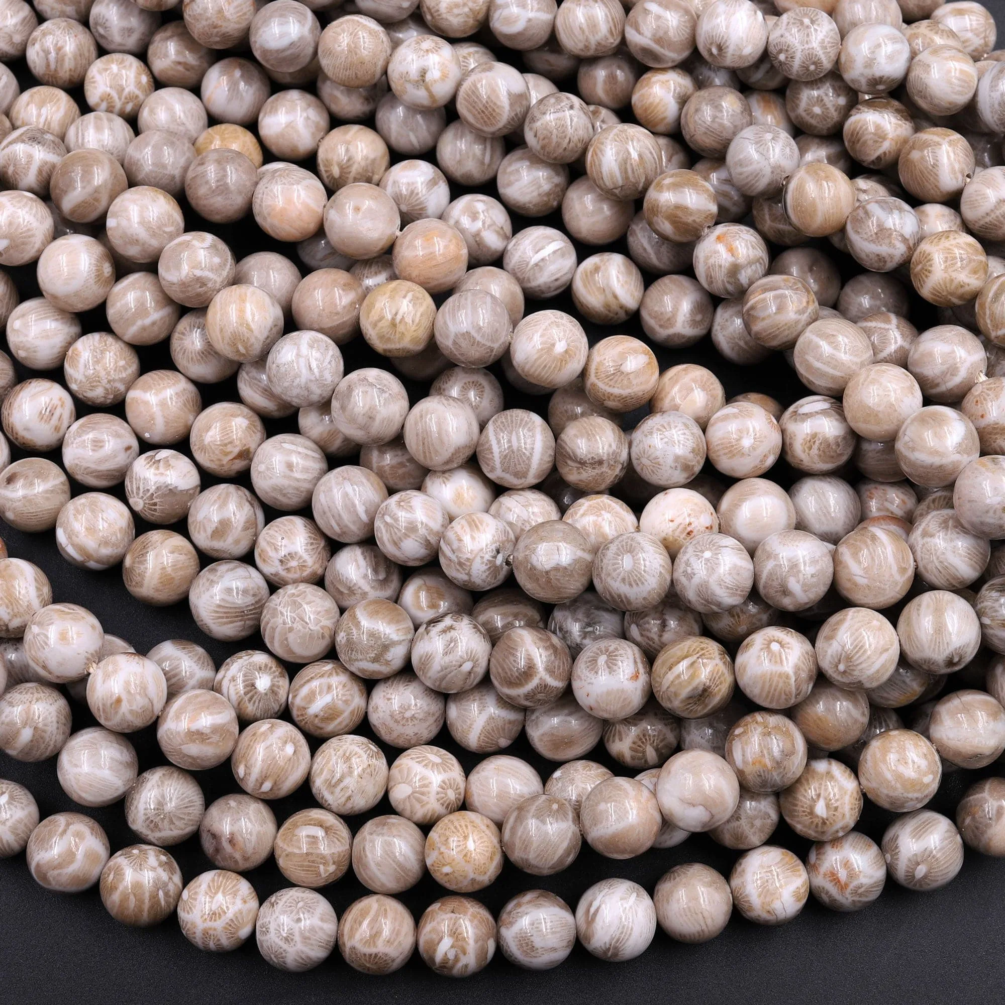 A  Natural Michigan Petoskey Stone Fossil Coral Round 6mm  8mm 10mm 12mm Round Beads Earthy Gray Brown Tan Beige Beads 16" Strand