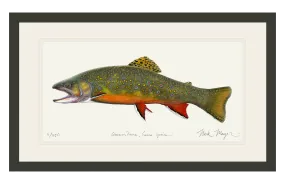 Beaver Pond Brook Trout Print - Best Seller