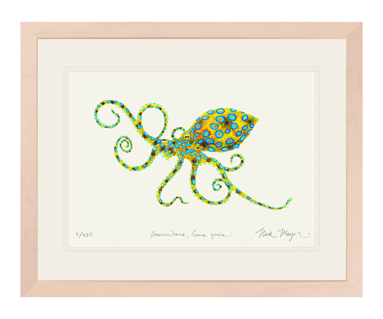 Blue Ringed Octopus Print