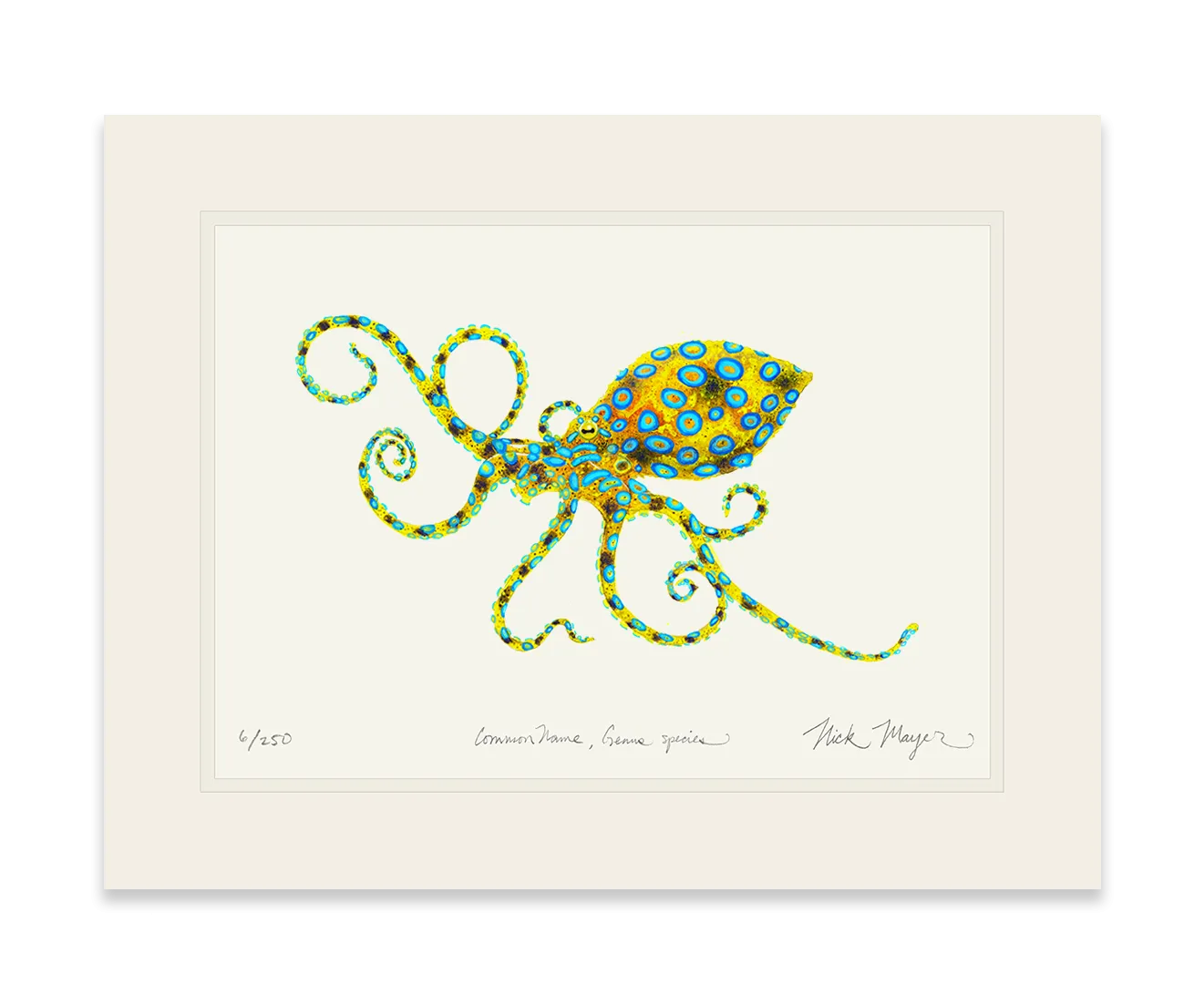 Blue Ringed Octopus Print