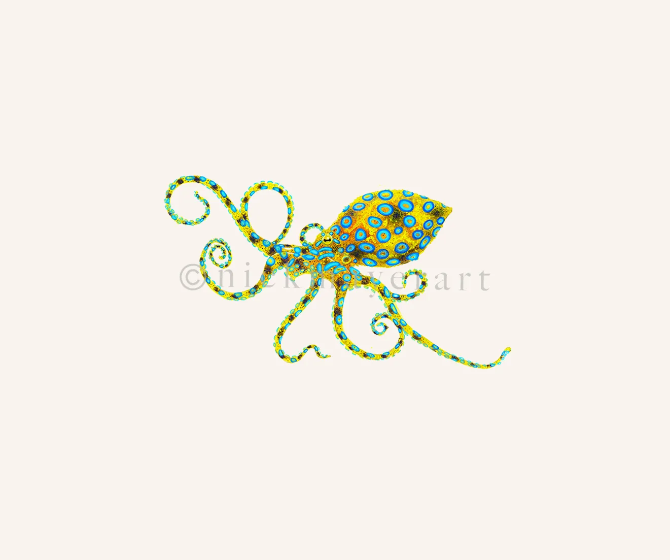 Blue Ringed Octopus Print