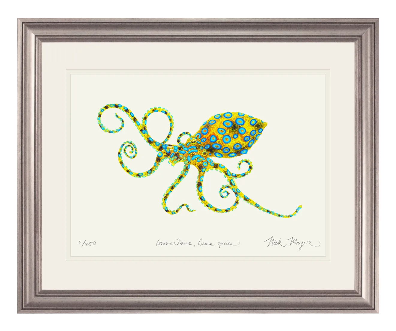 Blue Ringed Octopus Print