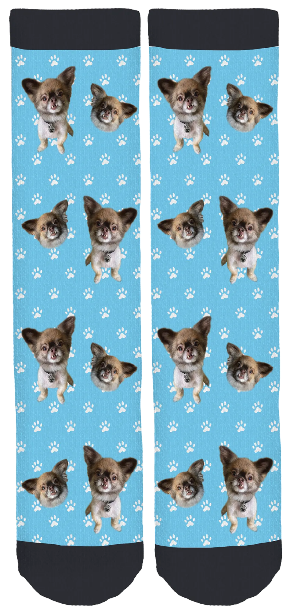 Chewbacca the Chihuahua Crew Socks