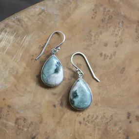 Ocean Jasper Earrings - Ocean Jasper Drops - Jasper Earrings - Sterling Silver